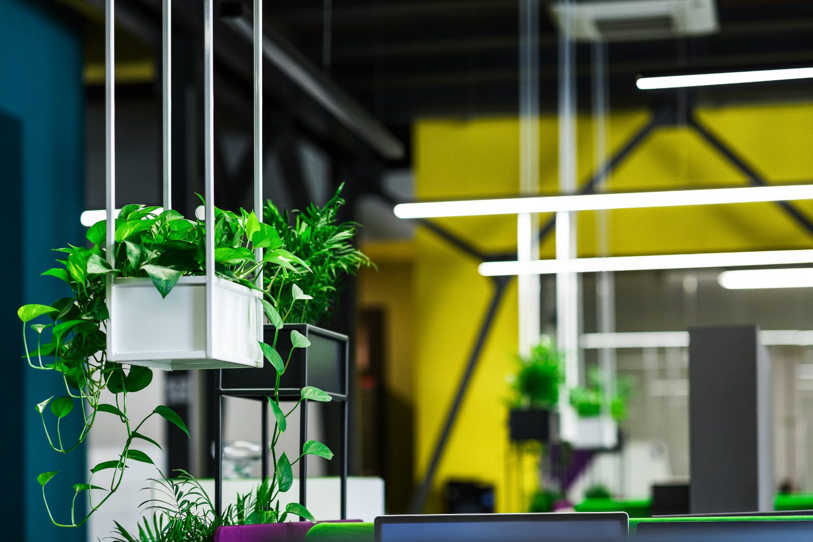 interior design for company