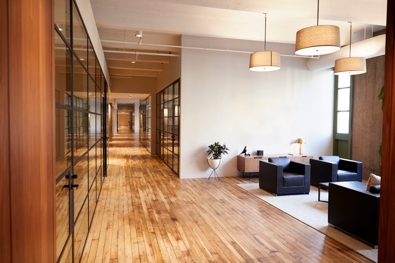 interior design for company